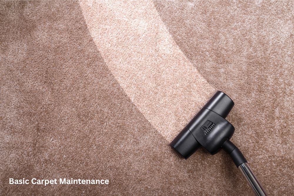 Carpet floor cleaning | Gillen Water Flooring