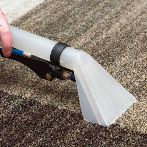 Carpet Cleaning and Maintenance | Gillenwater Flooring
